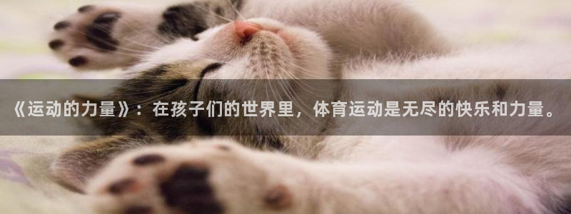 btv体育频道广告