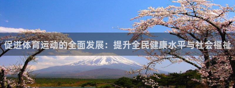btv体育主持人李晶：促进体育运动的全面发展：提升全民健康水平与社会福祉