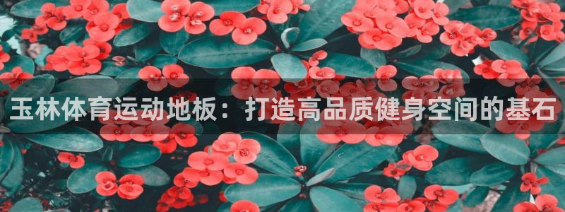 btv体育北汽啦啦队宣传片：玉林体育运动地板：打造高品质健身空间的基石