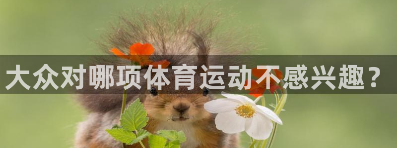 BTV体育CCTV世界地理吉林卫视重庆卫视