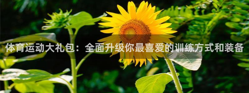 BTV体育台直播：体育运动大礼包：全面升级你最喜爱的训练方式和装备